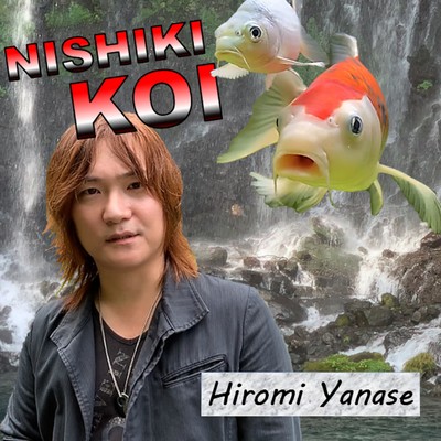 NISHIKI KOI