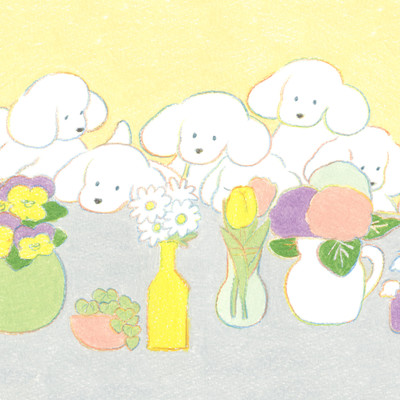 Beautiful Flowers