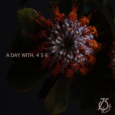 A Day With.456