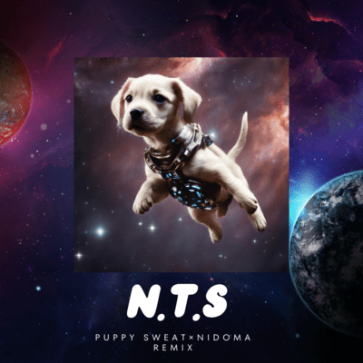 N.T.S