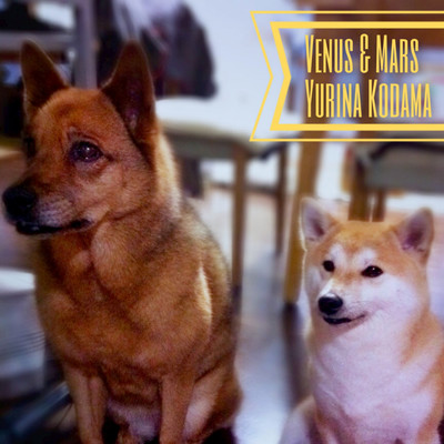 Venus & Mars (2025 Version)
