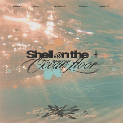 Shell on the Ocean Floor