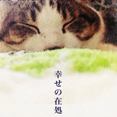 Shiawase no arika