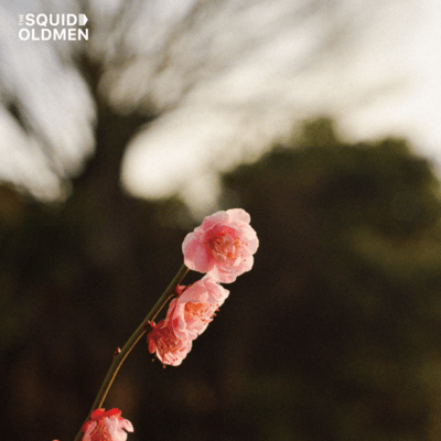 Spring is Almost Here