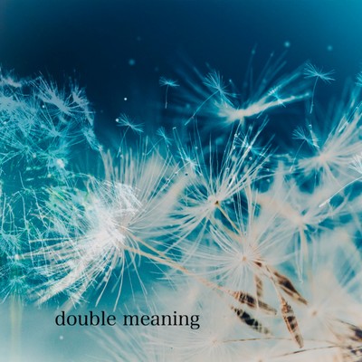 double meaning