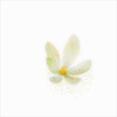 Touch