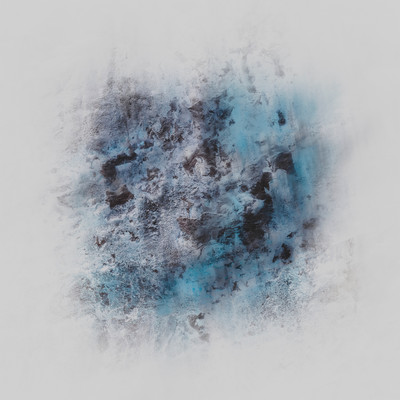 felt / hippocampus