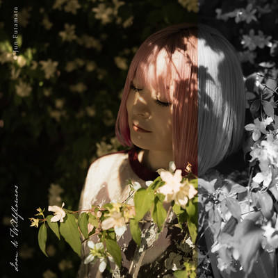 Iron to Wildflowers