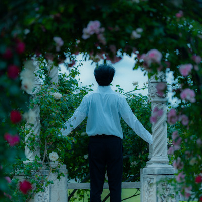 LOVE SWALLOW