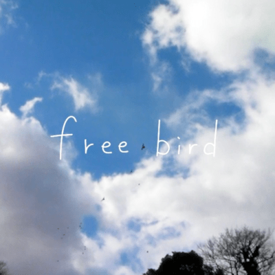 free bird (feat. fricorico)