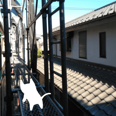 Let's Go Outside Today