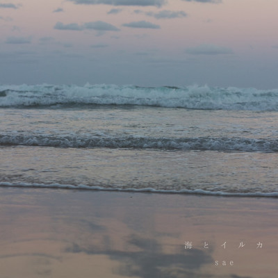 Sea and Dolphin