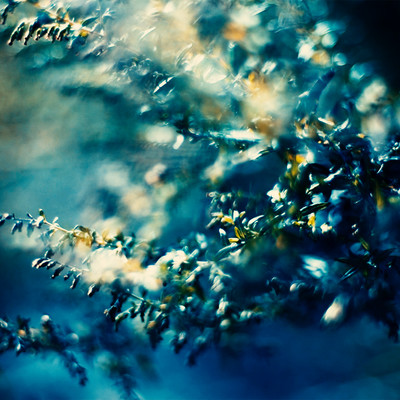 Reel of Everyday Life (chapter1)