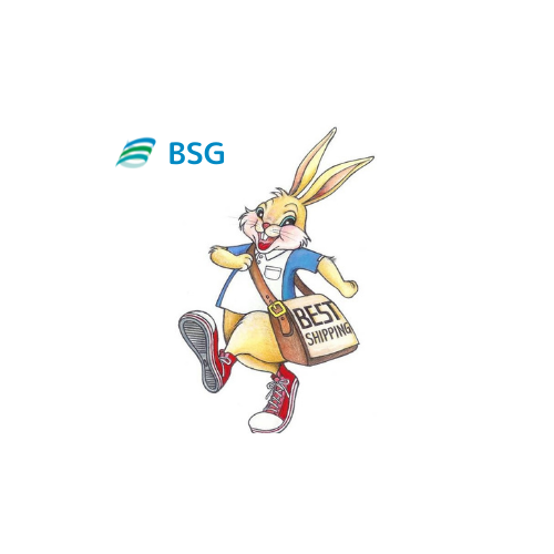 BSG