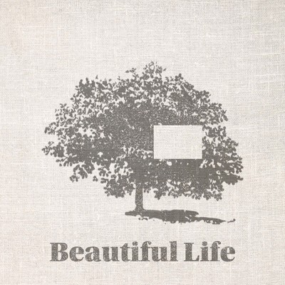 Beautiful Life