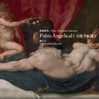 Pubis Angelical