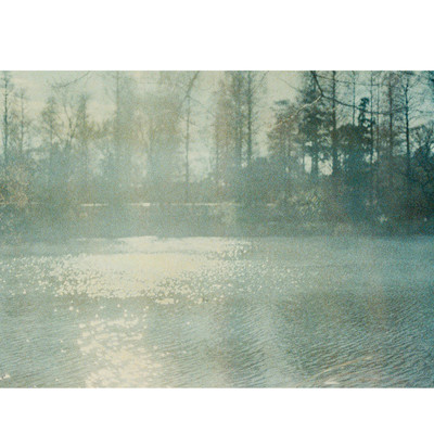 laikadaydream #1