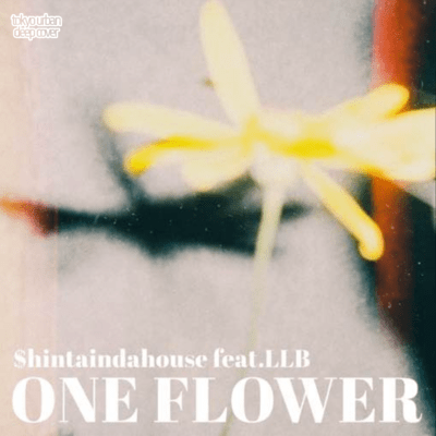 ONE FLOWER (feat. LLB)