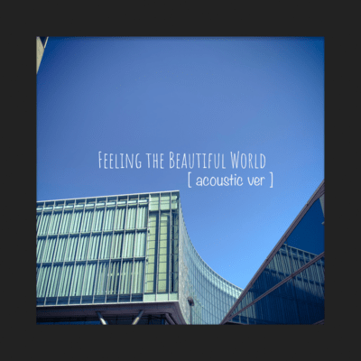 Feeling the Beautiful World (acoustic ver)