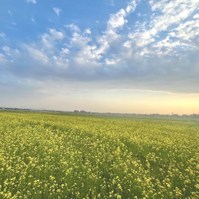 Spring with you