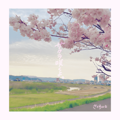Sakura sakuyo