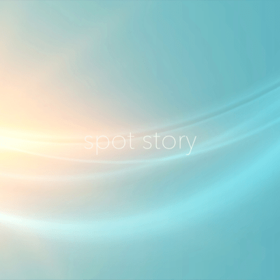 spot story