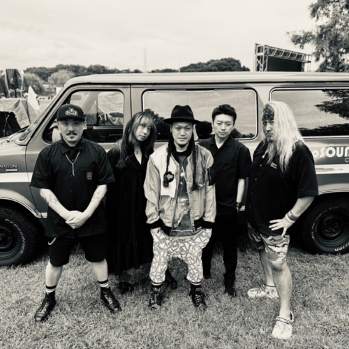 Swimming Fly Walkman