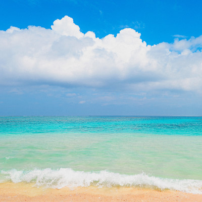 Nature Sound of OKINAWA -Wave- vol.2