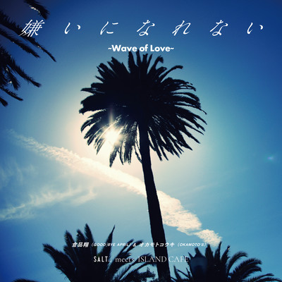 Kiraini Narenai ~Wave of Love~