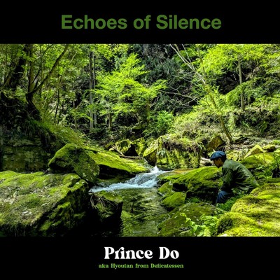 Echoes of Silence
