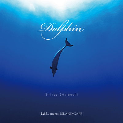 Dolphin