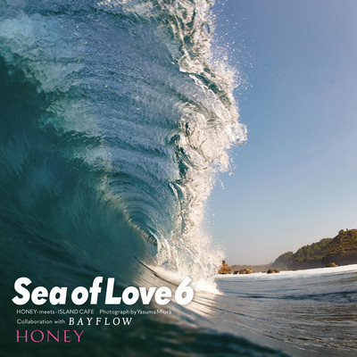 HONEY meets ISLAND CAFE - Sea of Love 6 - Collaboration with BAYFLOW