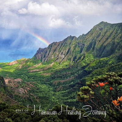 Best of Hawaiian Healing Journey Vol.1 (Remastered 2021)
