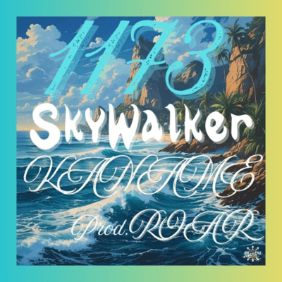 1173SkyWalker