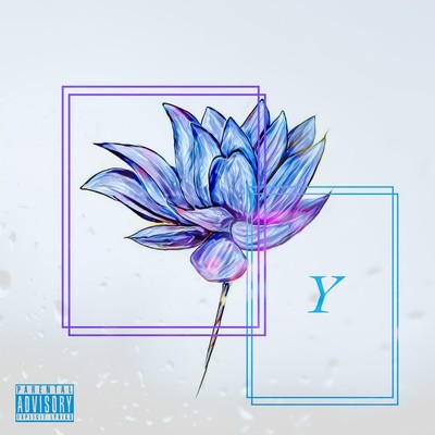 Y