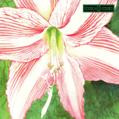 AMARYLLIS