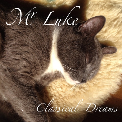 Mr.Luke