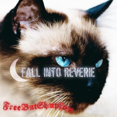 FALL INTO REVERIE