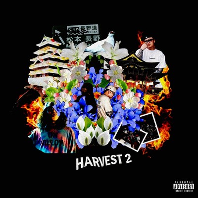HARVEST 2