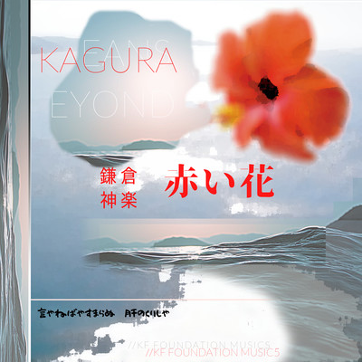 Blood Hibiscus -AKABANA