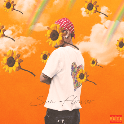Sun Flower