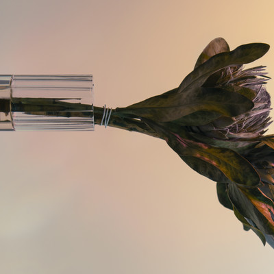Rebirth