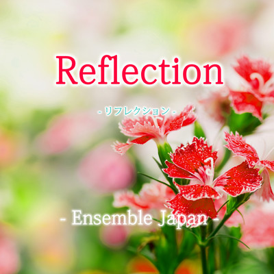 Reflection (shakuhachi, shinobue, piano cover)