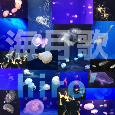 Jellyfish Song