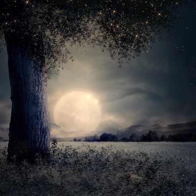 432hz Piano Japan anime Selection