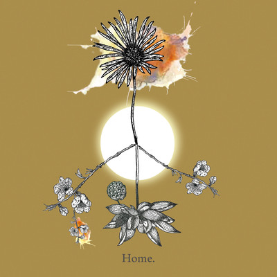 Home.