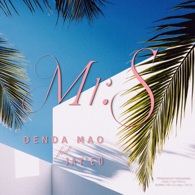 Mr.S (feat. JAY'ED)