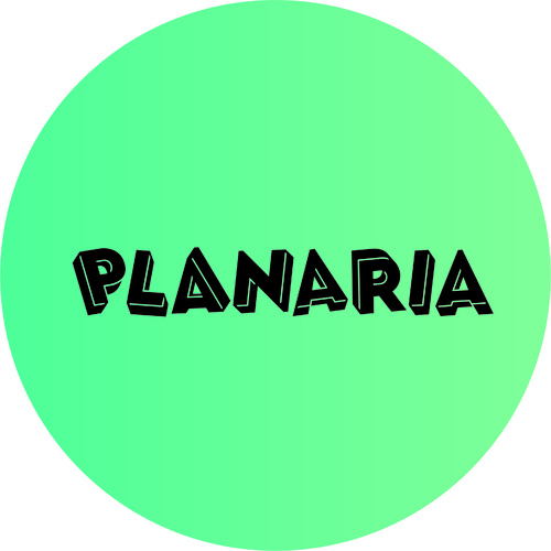 PLANARIA