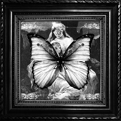 Wings of craving