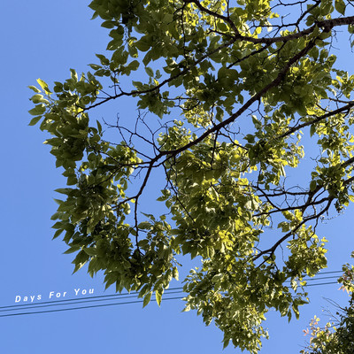 Days For You